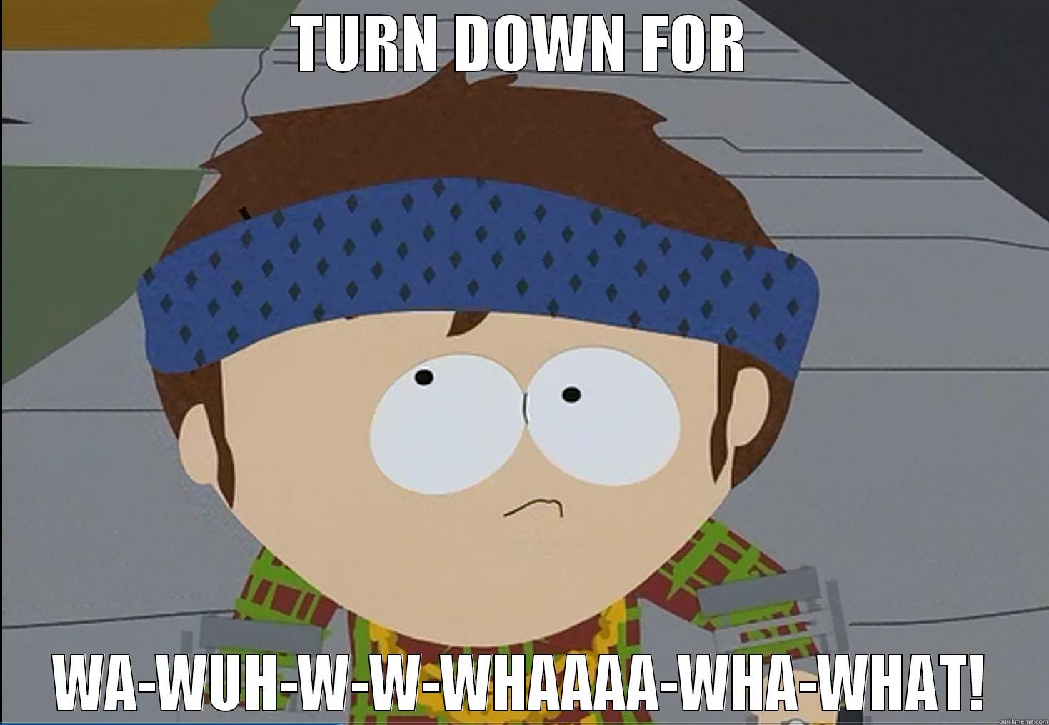turn down - TURN DOWN FOR WA-WUH-W-W-WHAAAA-WHA-WHAT! Misc