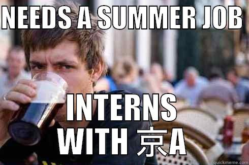 NEEDS A SUMMER JOB  INTERNS WITH 京A Lazy College Senior