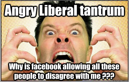 Angry Liberal tantrum Why is facebook allowing all these people to disagree with me ???  Angry Liberal