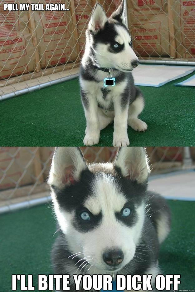 pull my tail again... i'll bite your dick off  Insanity puppy