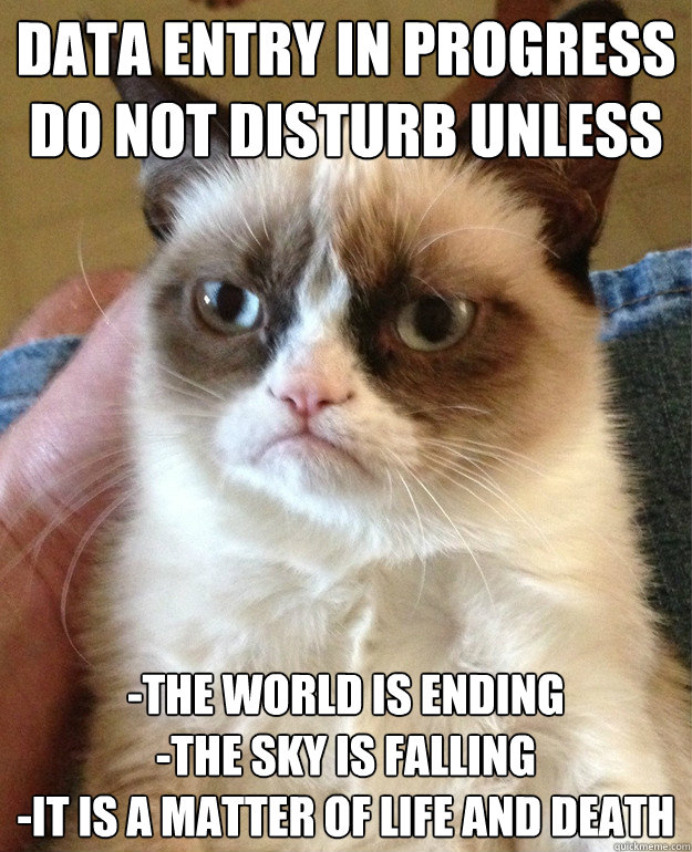 Data Entry In Progress Do Not Disturb Unless -The World Is Ending
-The Sky Is Falling
-It Is A Matter Of Life And Death  Grumpy Cat