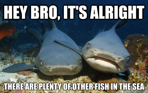 Hey bro, it's alright there are plenty of other fish in the sea  Compassionate Shark Friend