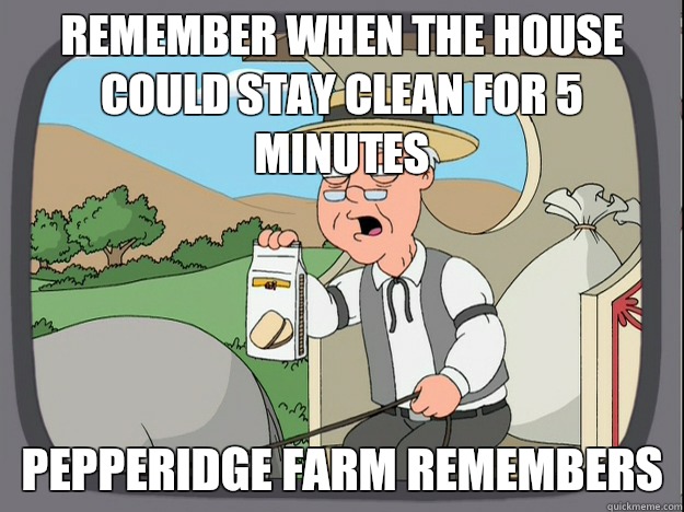 remember when the house could stay clean for 5 minutes Pepperidge farm remembers  Pepperidge Farm Remembers