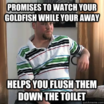 Promises to watch your goldfish while your away Helps you flush them down the toilet   Okay Guy Steve