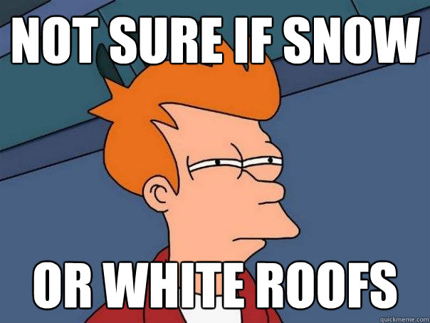Not sure if snow or white roofs  Futurama Fry