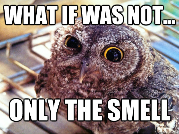 What if was not... Only the smell - What if was not... Only the smell  Skeptical Owl