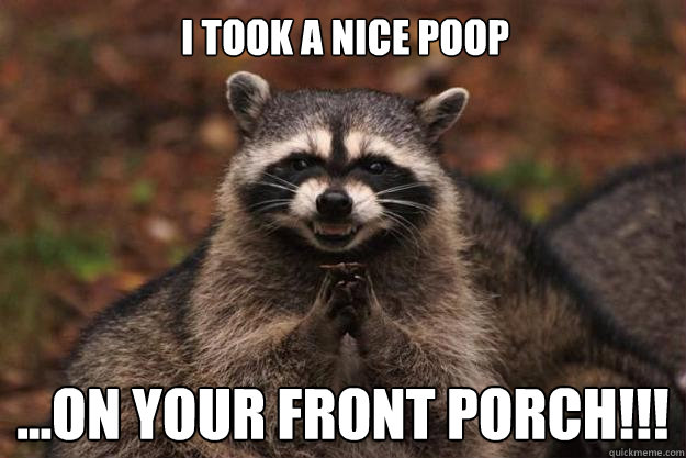 I took a nice poop  ...on your front porch!!!  Evil Plotting Raccoon