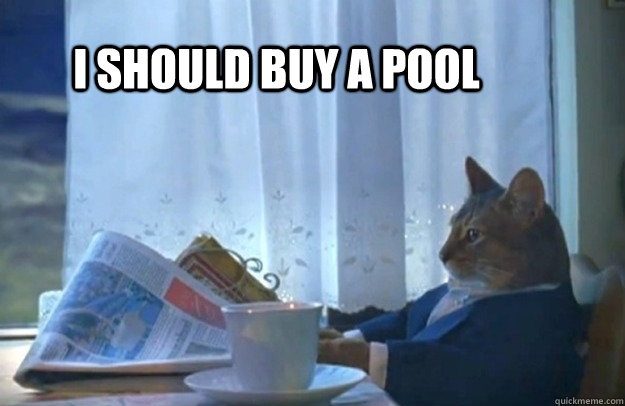 I should buy a pool  Sophisticated Cat