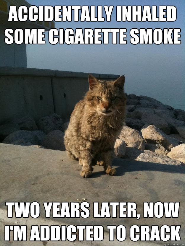 accidentally inhaled some cigarette smoke two years later, now i'm addicted to crack  Bitter Cat