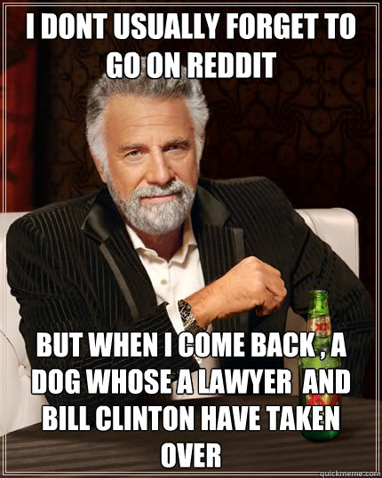 I dont usually forget to go on reddit But when I come back , a dog whose a lawyer  and Bill Clinton have taken over  The Most Interesting Man In The World