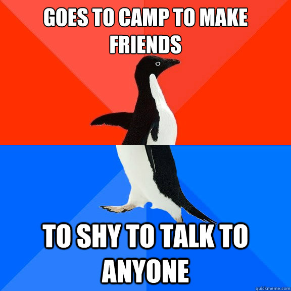goes to camp to make friends to shy to talk to anyone  Socially Awesome Awkward Penguin