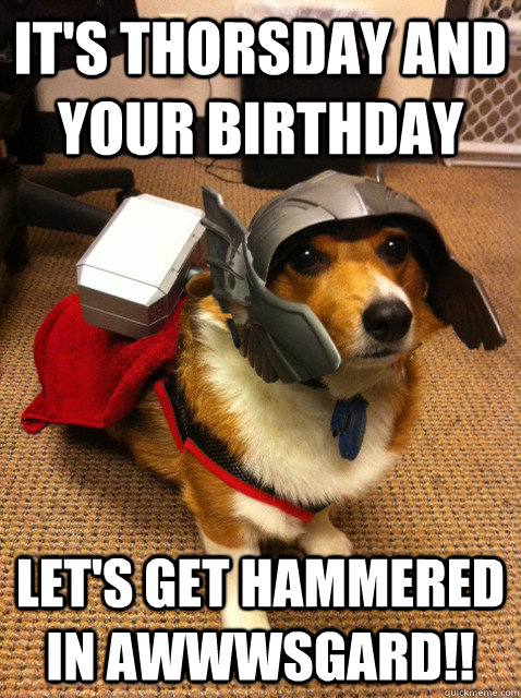 It's thorsday and your birthday let's get hammered in awwwsgard!!  Thorgi Dog of Thunder
