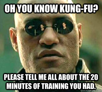Oh you know Kung-Fu? Please tell me all about the 20 minutes of training you had.  Matrix Morpheus