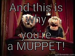 AND THIS IS WHY YOU'RE A MUPPET! Misc