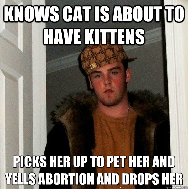 Knows cat is about to have kittens picks her up to pet her and yells abortion and drops her - Knows cat is about to have kittens picks her up to pet her and yells abortion and drops her  Scumbag Steve