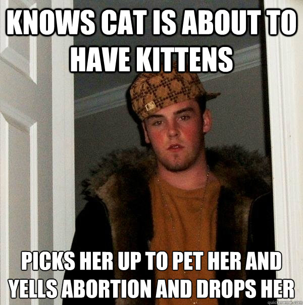 Knows cat is about to have kittens picks her up to pet her and yells abortion and drops her  Scumbag Steve