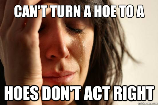 can't turn a hoe to a housewife hoes don't act right - can't turn a hoe to a housewife hoes don't act right  First World Problems