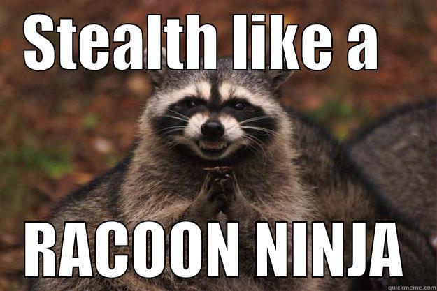 STEALTH LIKE A   RACOON NINJA Evil Plotting Raccoon