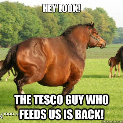 Hey look! The Tesco guy who feeds us is back! - Hey look! The Tesco guy who feeds us is back!  Look at my horse