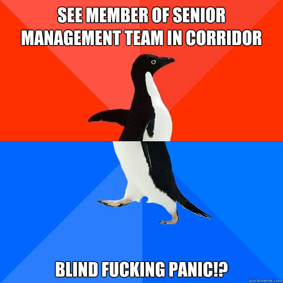 See member of senior management team in corridor blind fucking panic!?  Socially Awesome Awkward Penguin