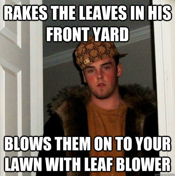 rakes the leaves in his front yard blows them on to your lawn with leaf blower  Scumbag Steve
