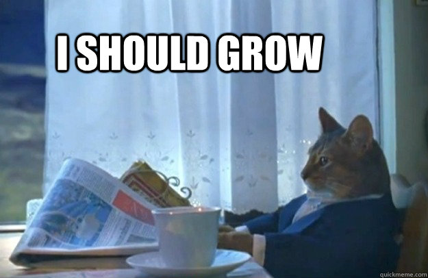I should grow  Sophisticated Cat