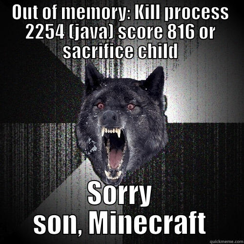 OUT OF MEMORY: KILL PROCESS 2254 (JAVA) SCORE 816 OR SACRIFICE CHILD SORRY SON, MINECRAFT Insanity Wolf