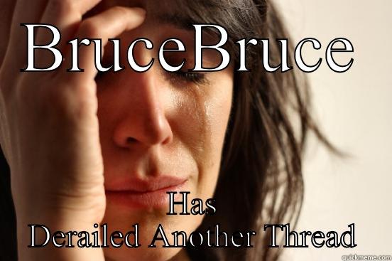 BRUCEBRUCE HAS DERAILED ANOTHER THREAD First World Problems