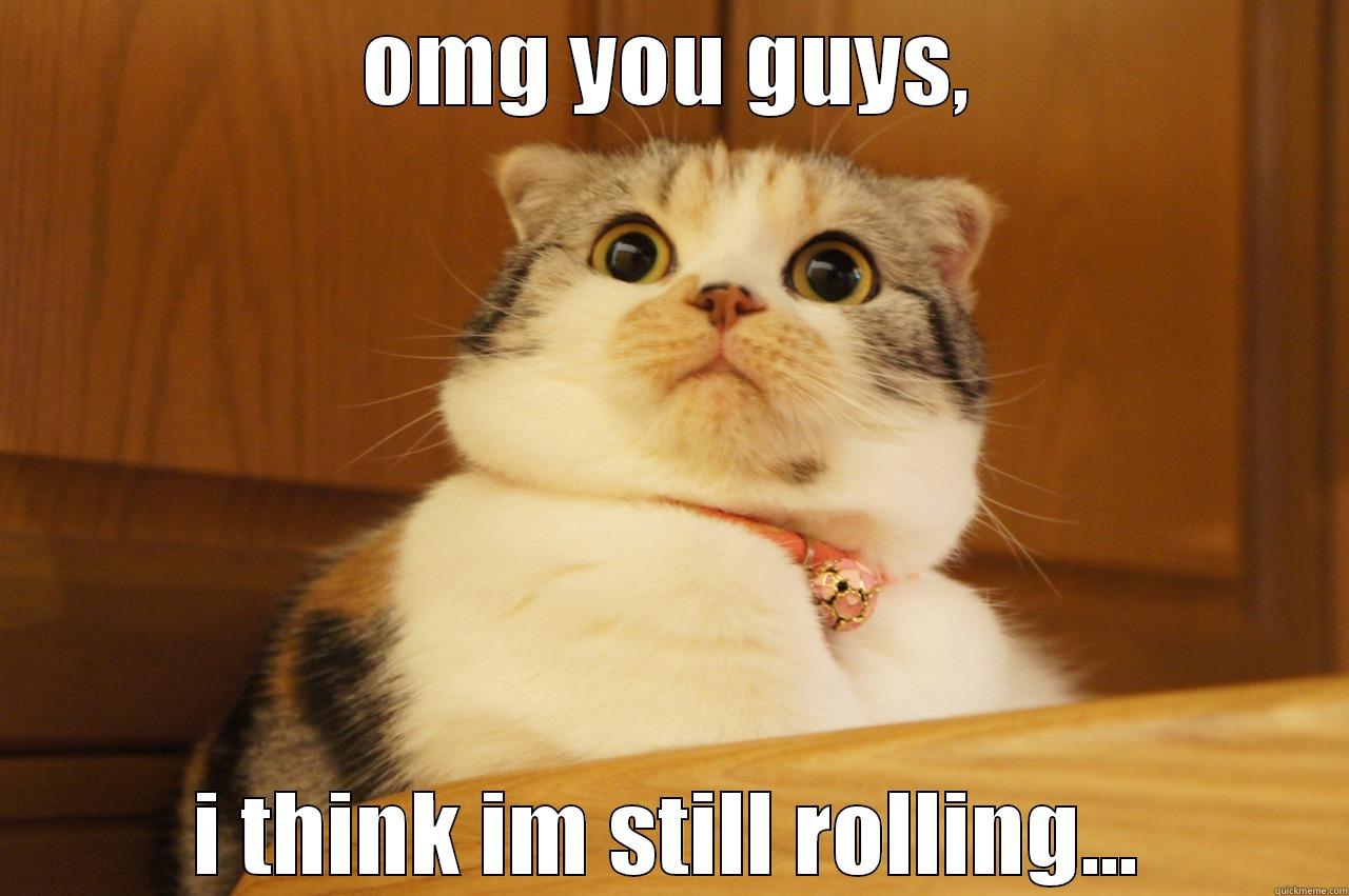 rolling cat - OMG YOU GUYS, I THINK IM STILL ROLLING... Misc