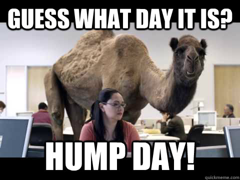 Guess what day it is? Hump Day!  