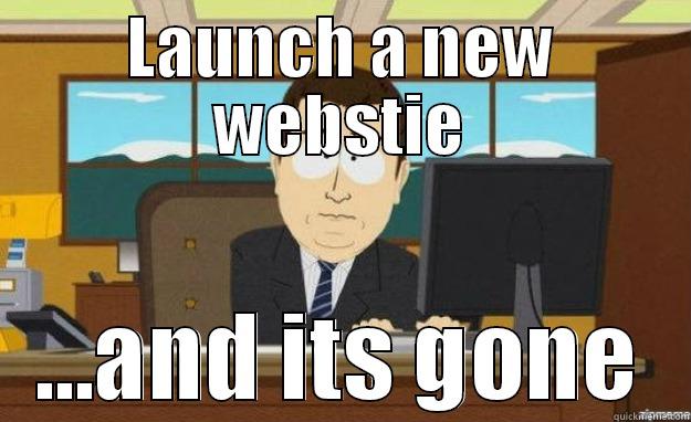 LAUNCH A NEW WEBSTIE ...AND ITS GONE aaaand its gone