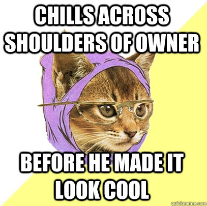 Chills across shoulders of owner Before he made it look cool  Hipster Kitty