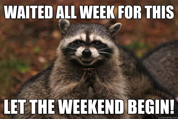 waited all week for this let the weekend begin! - waited all week for this let the weekend begin!  Evil Plotting Raccoon