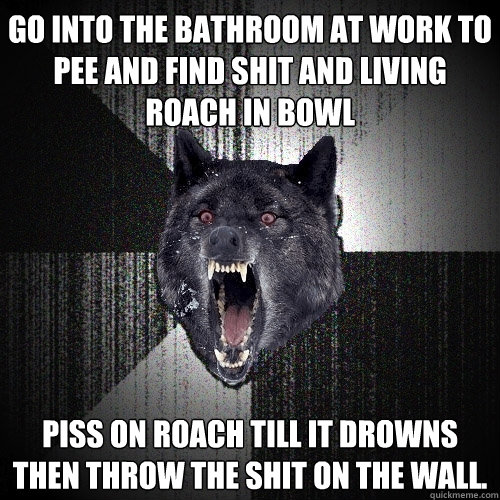 Go into the bathroom at work to pee and find shit and living roach in bowl Piss on roach till it drowns then throw the shit on the wall.   Insanity Wolf