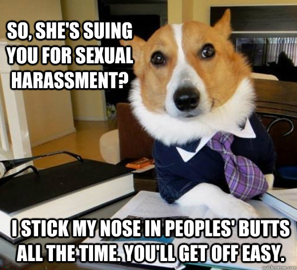 So, she's suing you for sexual harassment? I stick my nose in peoples' butts all the time. You'll get off easy.  Lawyer Dog