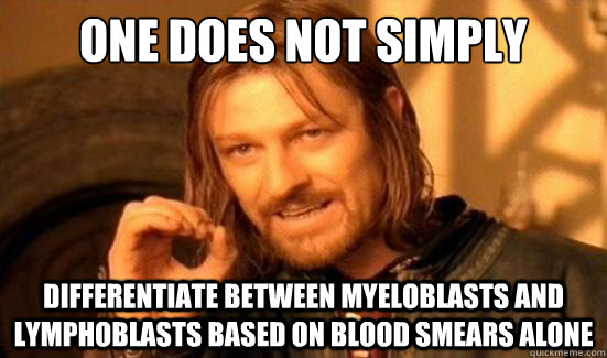 One Does Not Simply differentiate between myeloblasts and lymphoblasts based on blood smears alone  Boromir