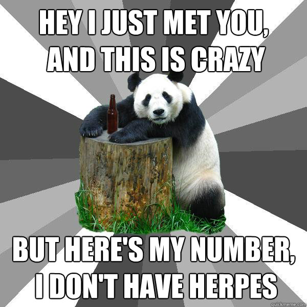 Hey I just met you,
 and this is crazy But here's my number,
 I don't have herpes  - Hey I just met you,
 and this is crazy But here's my number,
 I don't have herpes   Pickup-Line Panda