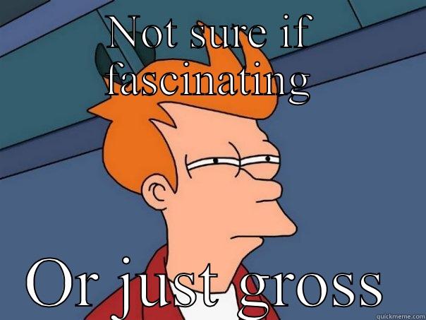 NOT SURE IF FASCINATING OR JUST GROSS Futurama Fry