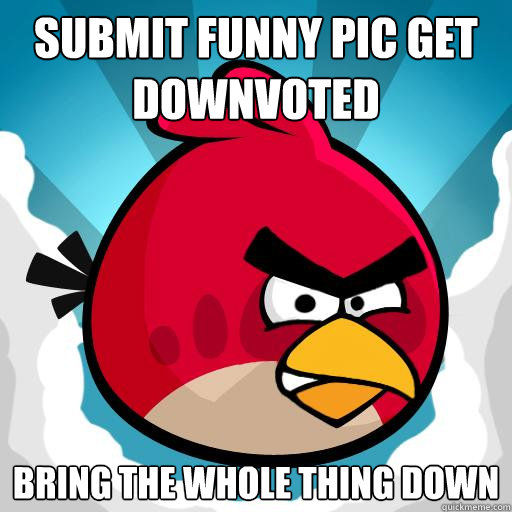 Submit Funny pic get downvoted bring the whole thing down - Submit Funny pic get downvoted bring the whole thing down  Overreactive Angry Bird