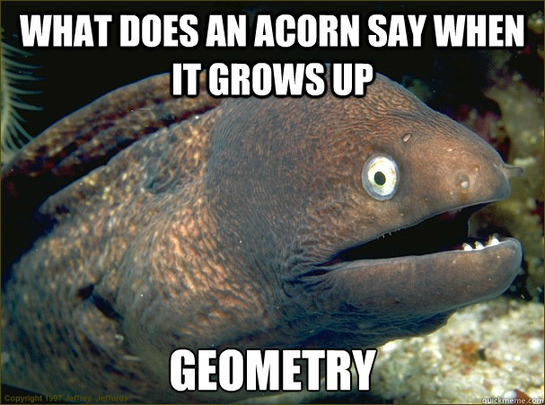What does an acorn say when it grows up geometry  Bad Joke Eel