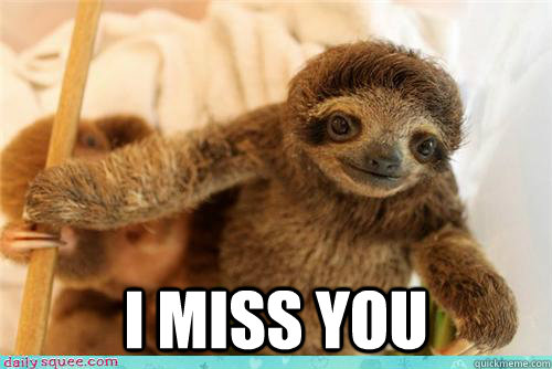  I miss you -  I miss you  i miss you baby sloth