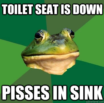 Toilet Seat is down Pisses in sink  Foul Bachelor Frog