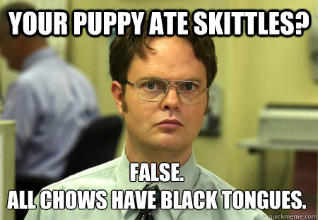 Your puppy ate skittles? False. 
All Chows have black tongues. - Your puppy ate skittles? False. 
All Chows have black tongues.  Dwight