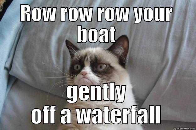 ROW ROW ROW YOUR BOAT GENTLY OFF A WATERFALL Grumpy Cat