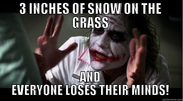 3 INCHES OF SNOW ON THE GRASS AND EVERYONE LOSES THEIR MINDS! Joker Mind Loss