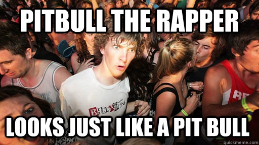 Pitbull the rapper looks just like a Pit Bull - Pitbull the rapper looks just like a Pit Bull  Sudden Clarity Clarence