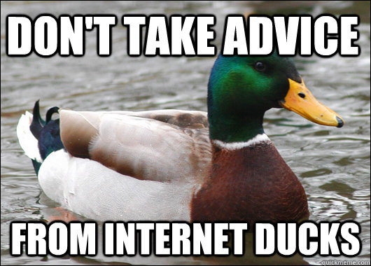 Don't take advice   from internet ducks  Actual Advice Mallard
