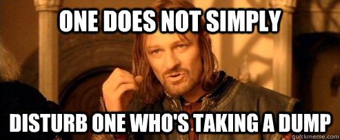 One does not simply disturb one who's taking a dump  One Does Not Simply