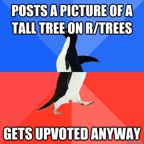 Posts a picture of a tall tree on r/trees gets upvoted anyway  Socially Awkward Awesome Penguin