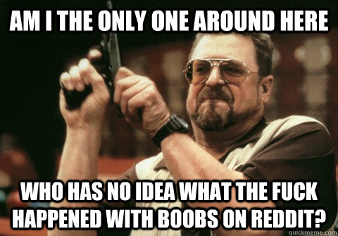 Am I the only one around here Who has no idea what the fuck happened with boobs on reddit? - Am I the only one around here Who has no idea what the fuck happened with boobs on reddit?  Am I the only one